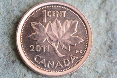 Image by EG Camera Girl