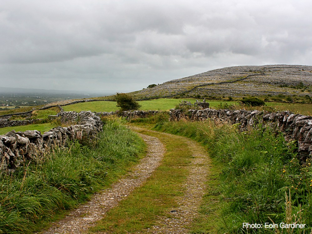 Irish countryside in The Burren, County Clare.