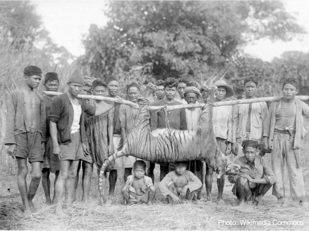 TEDx - Philip Trippenbach - Images.004-001