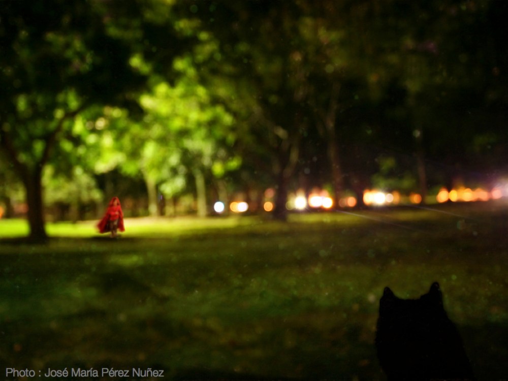 TEDx - Philip Trippenbach - Images.006-001